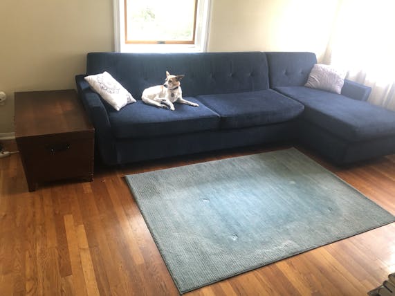 Hughes Sleeper Sectional Joybird